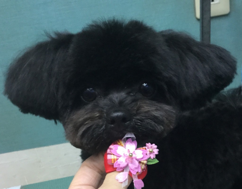 981F6495-C55A-4B15-AA06-D2C16D161FFB