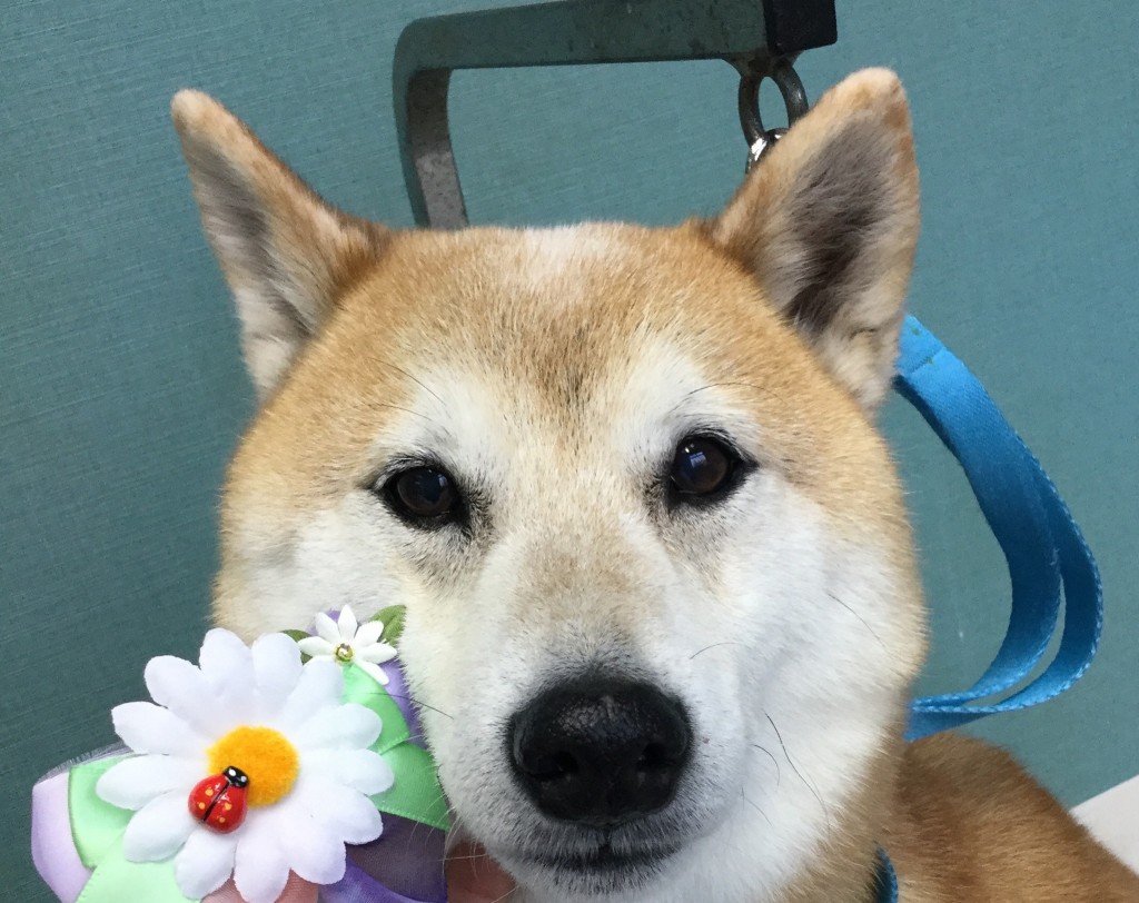 98E843E9-9F4A-4E49-AD20-C2633A784373