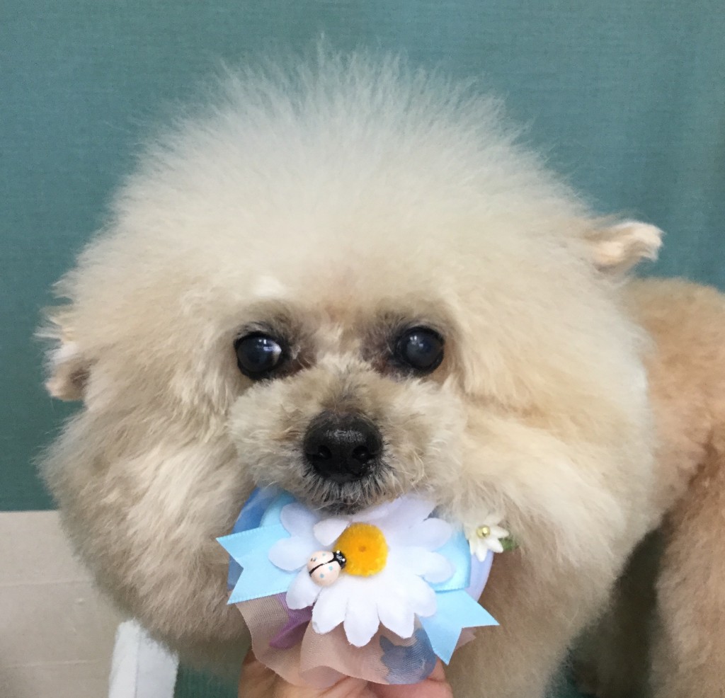 9AEF24B3-CDB6-46ED-ACEF-C9FCCB053120