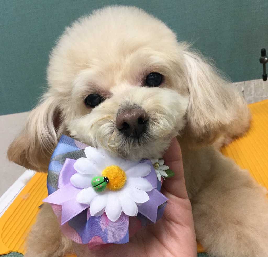 A0CAF1E8-0A05-4C06-9A0B-B76A7AD3B0F3