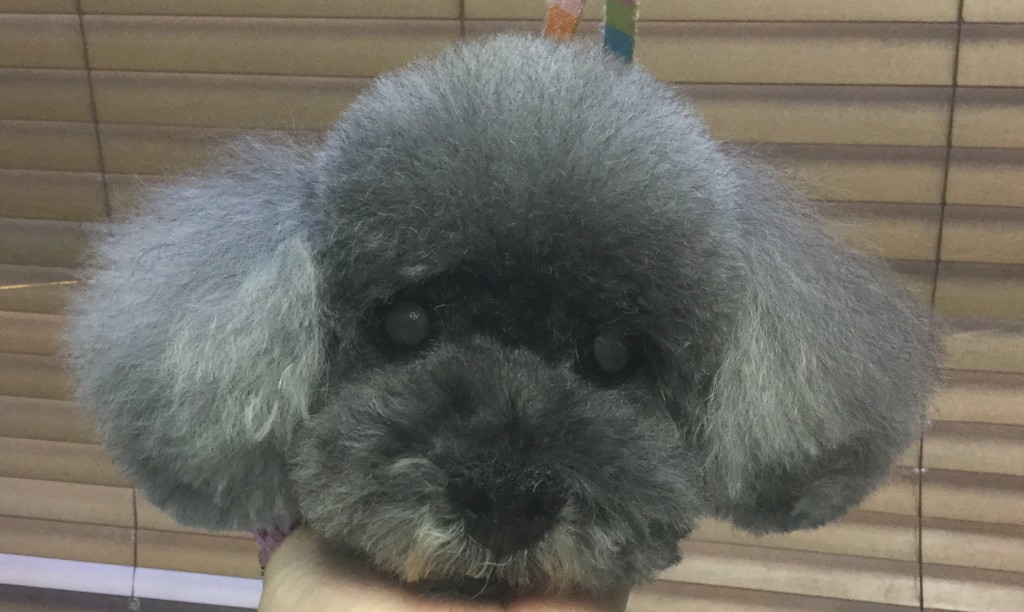 A98895EF-AFB1-4D48-90CA-2253EEB1CEDA