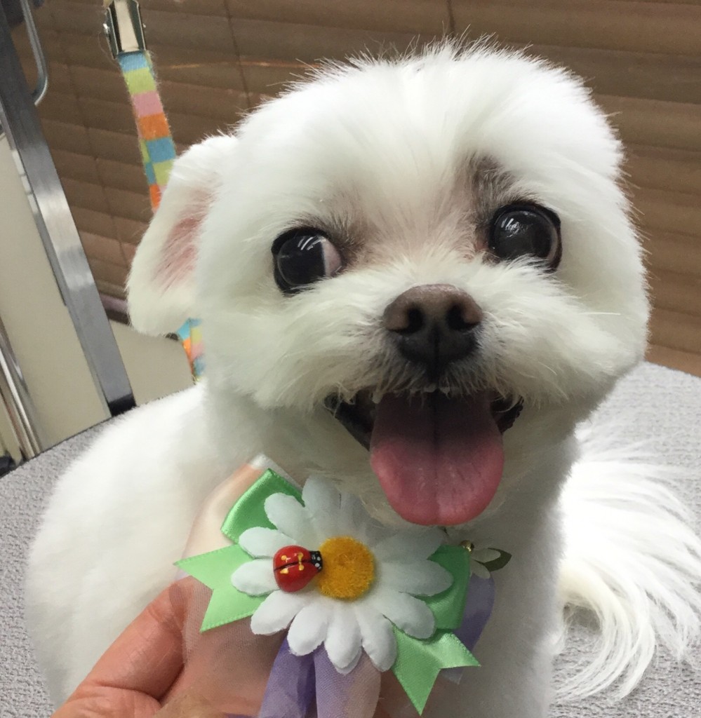 A990D0FD-49B3-4FDB-A3CA-5556353DD756