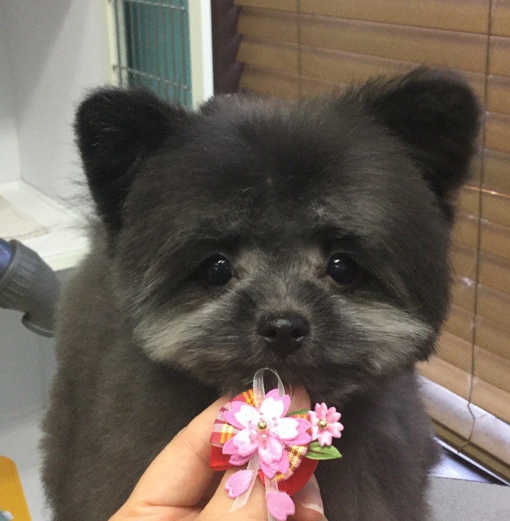 B394BE8A-A486-4118-A036-9EC311D17DDC