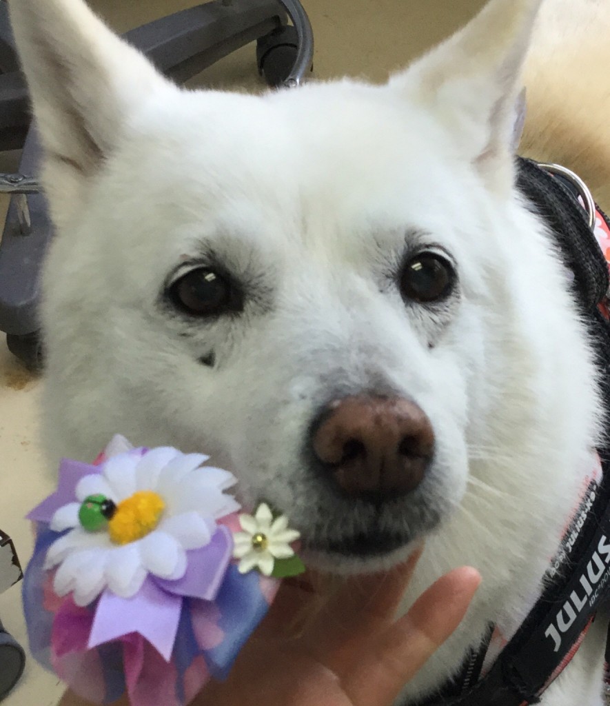 B63FEE0F-AD01-41B6-93DA-C29B9C8A6BEC