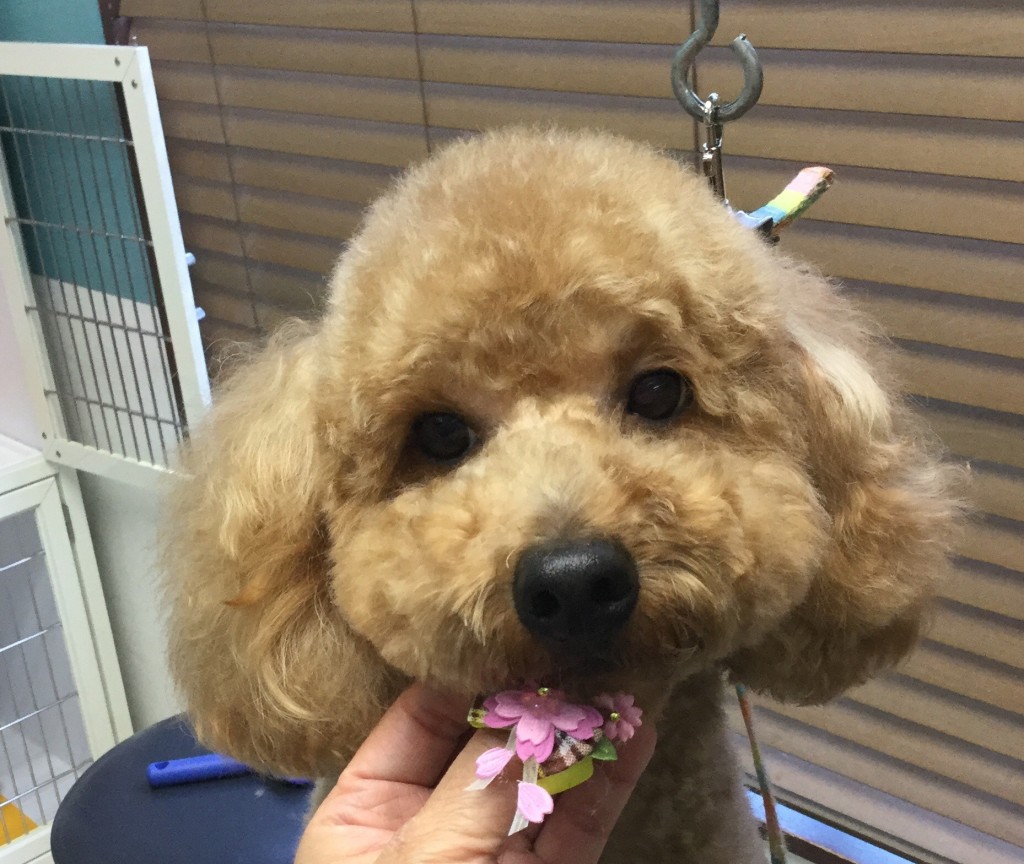 B9CDE9C0-F6C8-4AC7-AA1A-C674396553EA