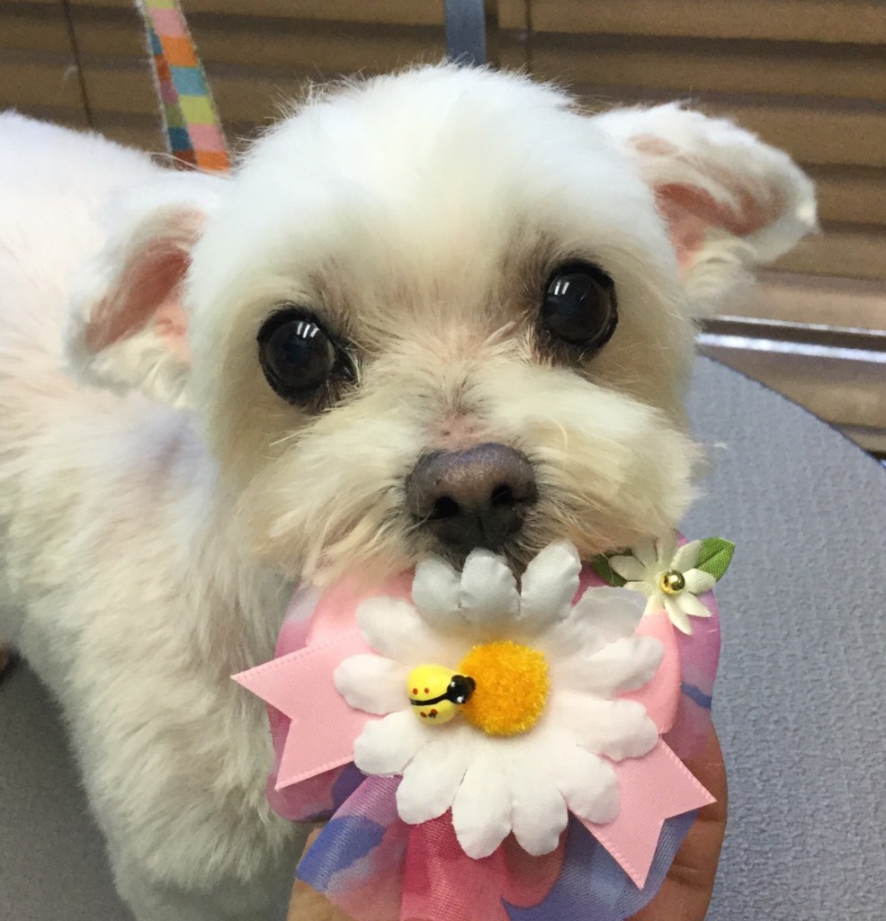 BB928F8C-3BBB-49E8-9DB6-11CADDA367BC