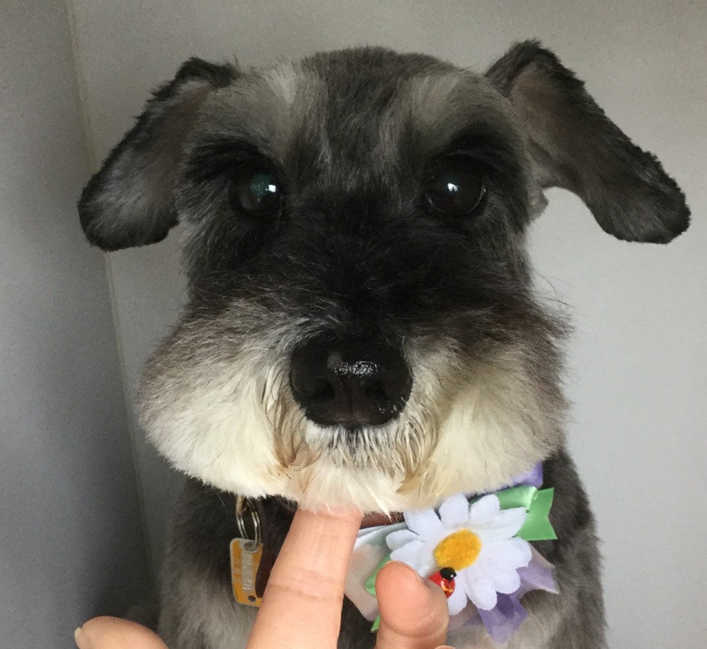 BBE87D03-C667-4D34-945A-8D2C15D20962