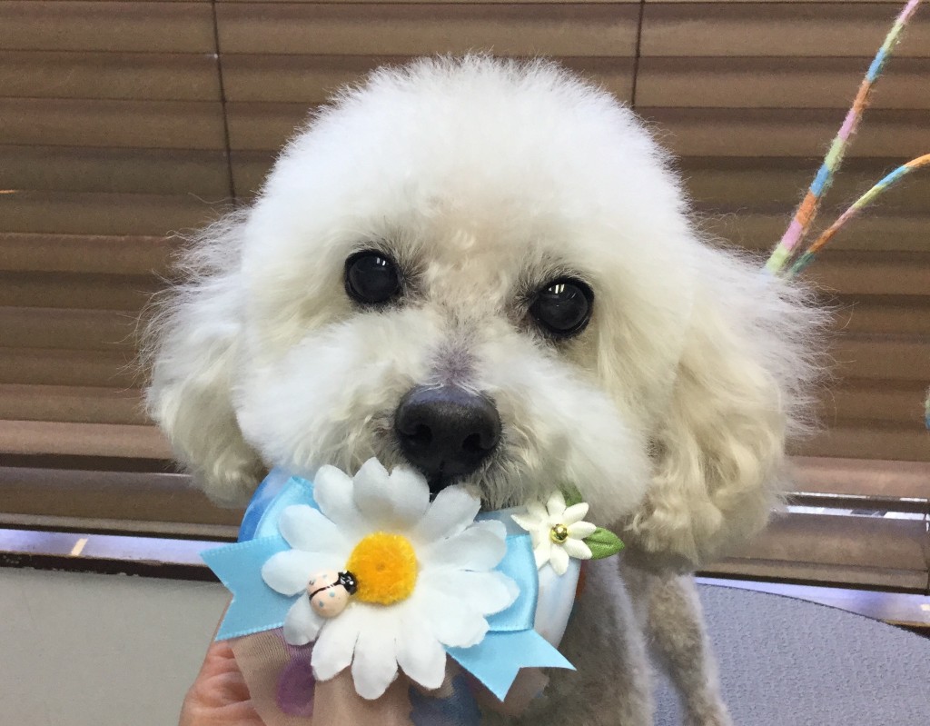 C3837569-D710-445A-B212-071A39CDCC97