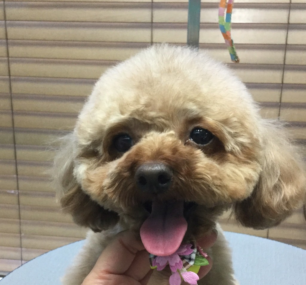 C61CABEE-8816-4A8B-8AD5-59AC4AB866A8