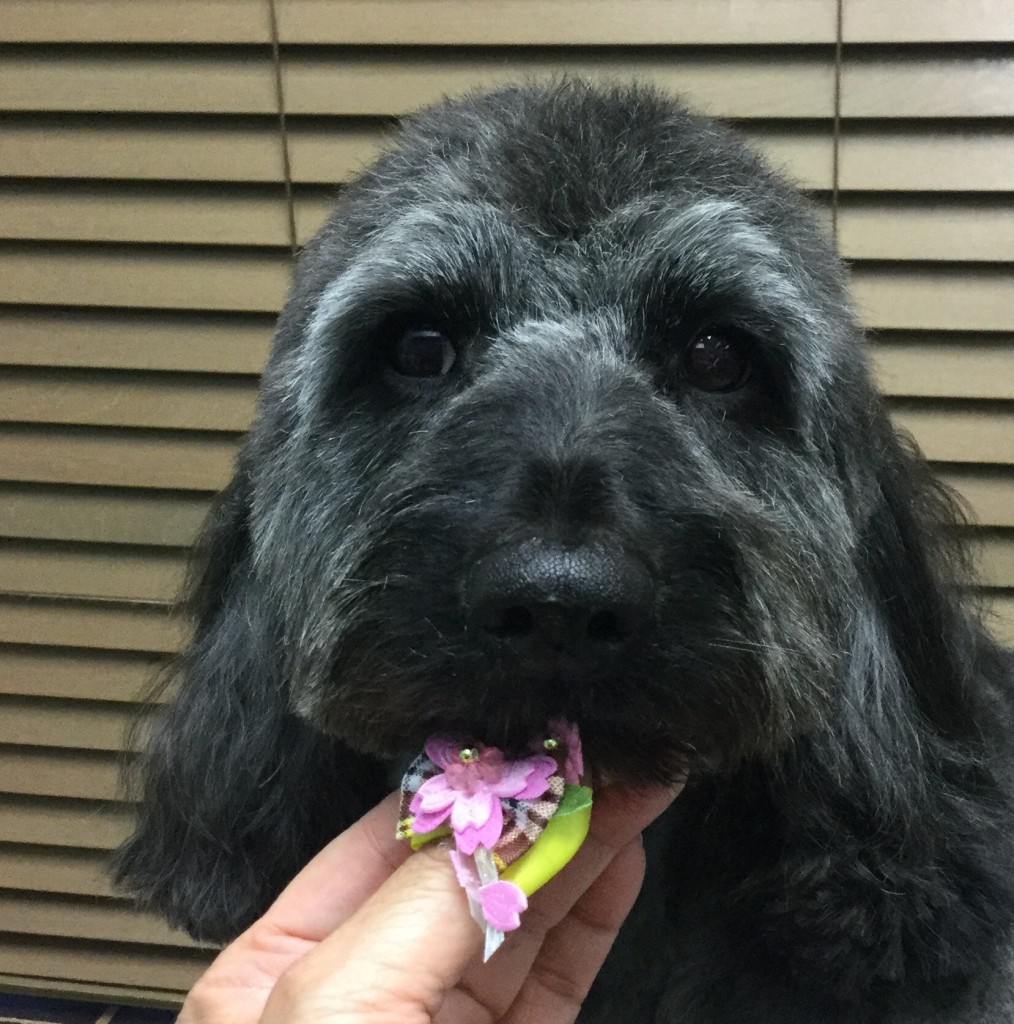 C64083FD-2D39-4F2B-A380-5796D16DD395