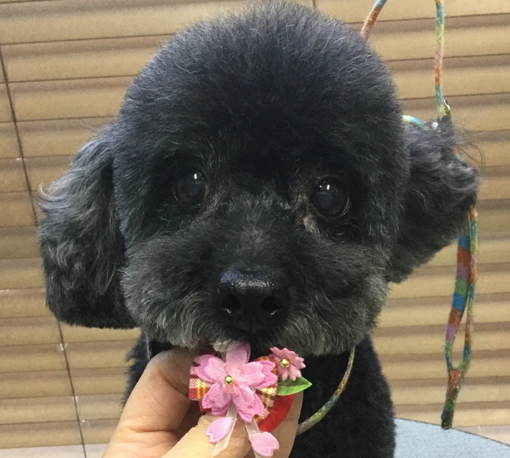 C9193FF6-D21C-475E-B258-F7801D6F0898