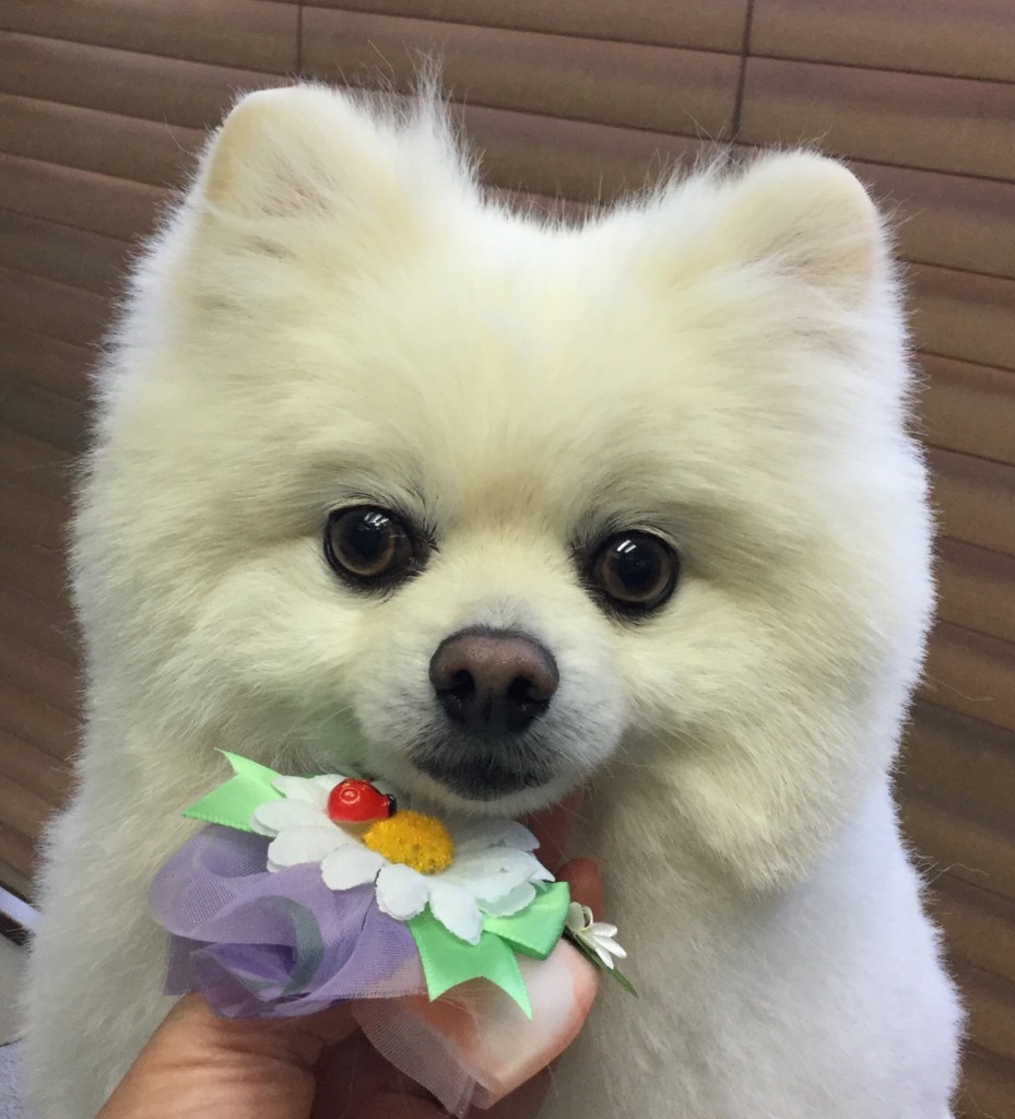 CBD8D058-360C-4D78-AC89-2700DDAE9568