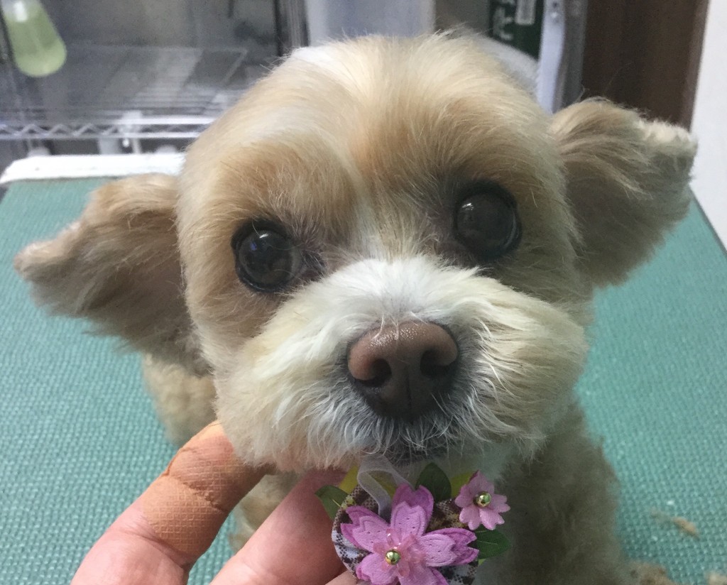 D940DDF2-A337-488C-9E07-3AAA2BBCBD4A