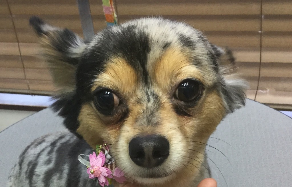 DE07B79A-CADB-4051-AD3E-5190A01E4144