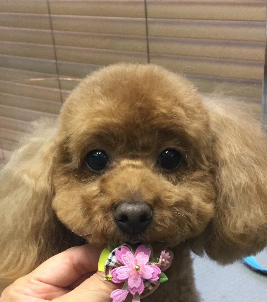 E077864E-2AC5-4F5F-AFC2-8AC1F56602A6