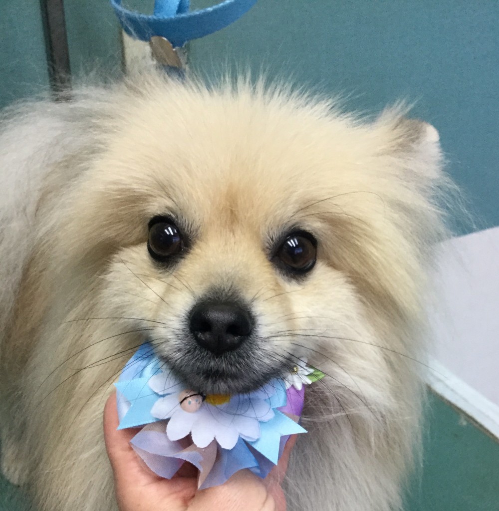 E23D0FD6-53AC-410A-9DCF-2A0D4711055C