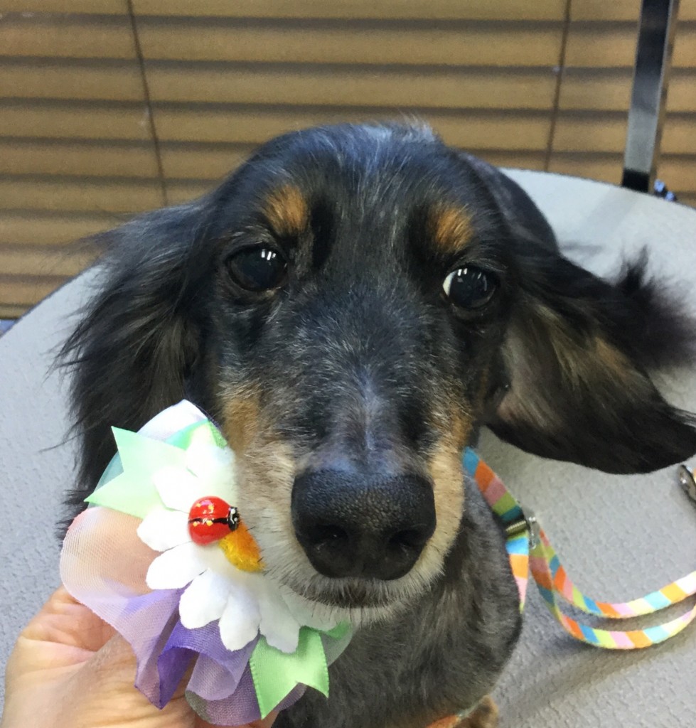 F43CD2B5-8D42-4FFA-A507-3560FE1CEF25