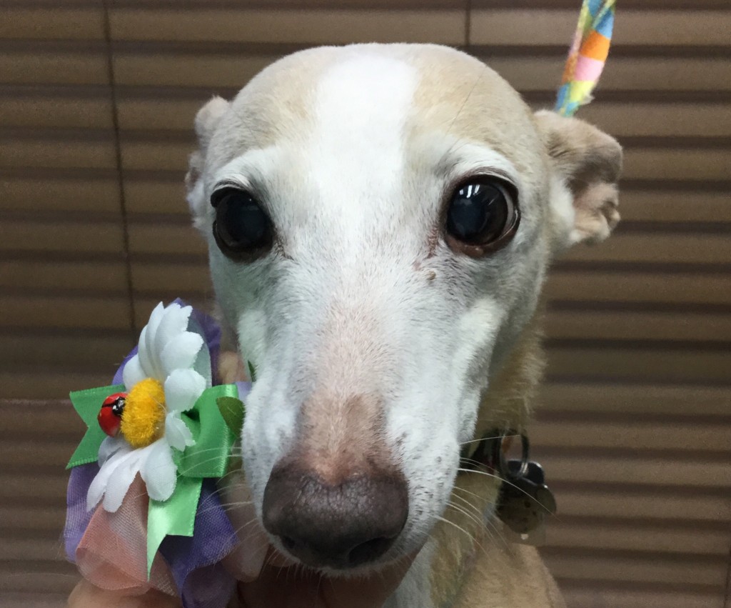 F78161D1-4D80-4601-A827-064FEC4A2BD6