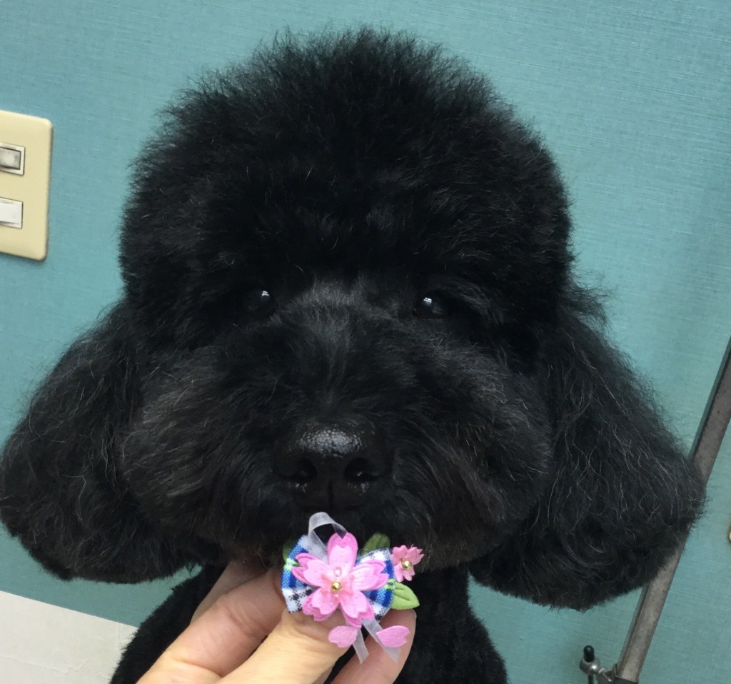 FFD81B85-5738-4D69-B453-FFBB8F271136